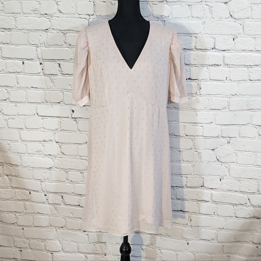 Express Pale Pink Mini Dress